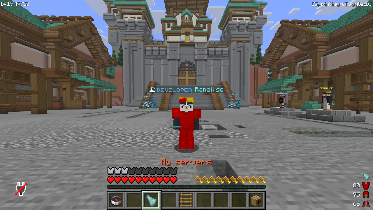HobbyServers Hub Setup /Plugin Development gallery 4